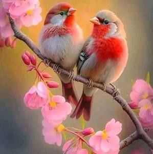 Meet your Posher, Betty